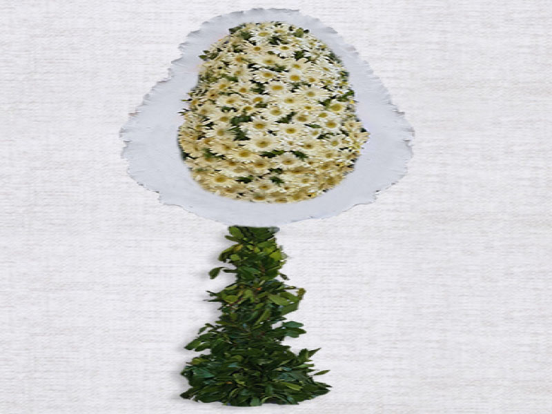 Beyaz Gerbera Sepeti