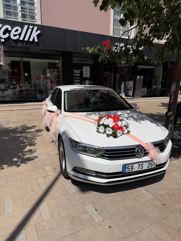 YAPAY ARAÇ SÜSLEME