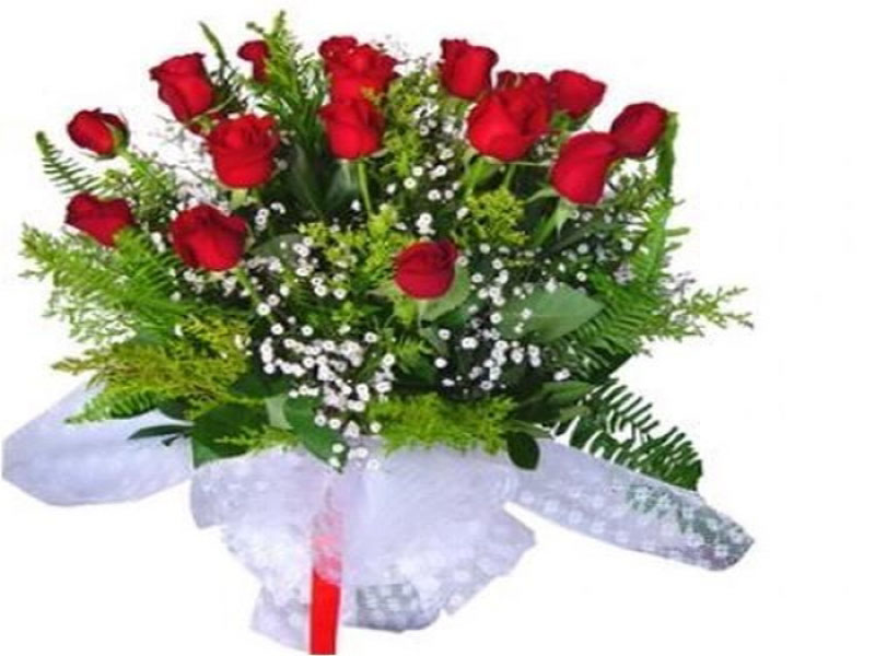 21 Adet Kırmızı Gül